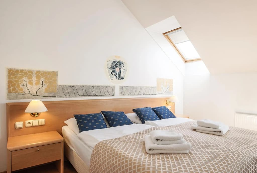 Hotel Tivoli Prague - photo 5