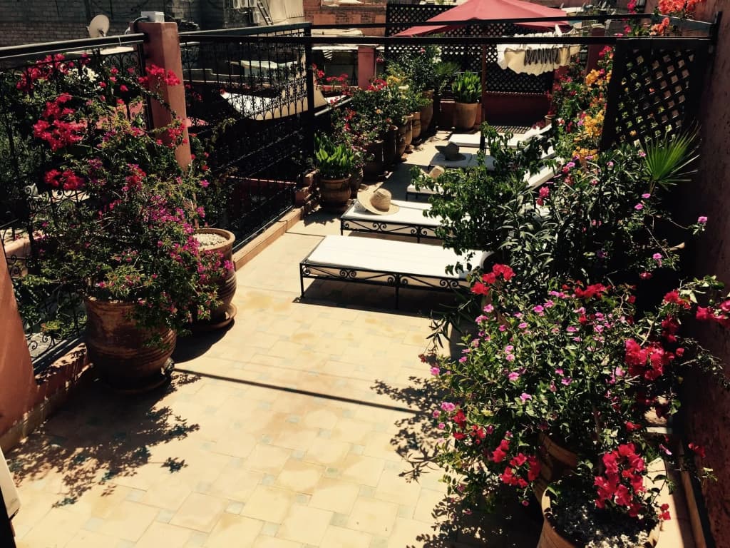 Riad Jona - photo 23