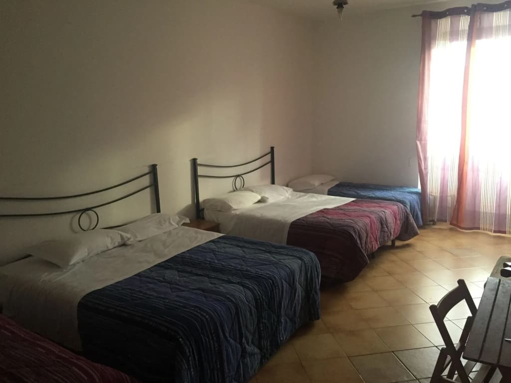 Hostel Veronique - photo 4