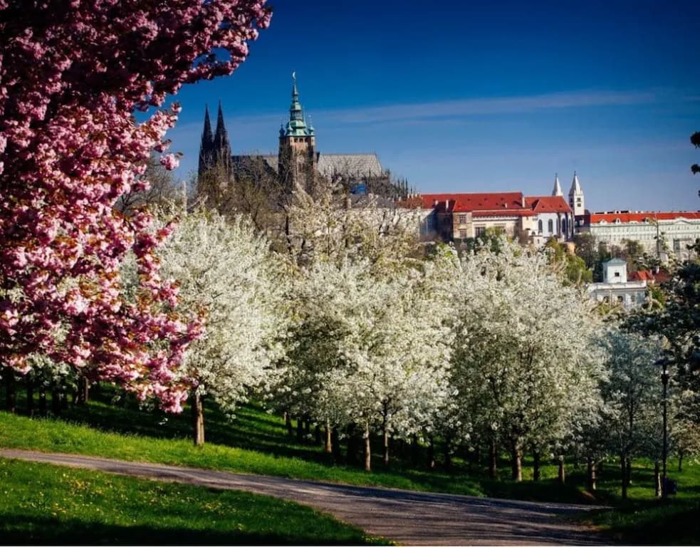 City centre APT Prague by Michal&Friends - photo 12