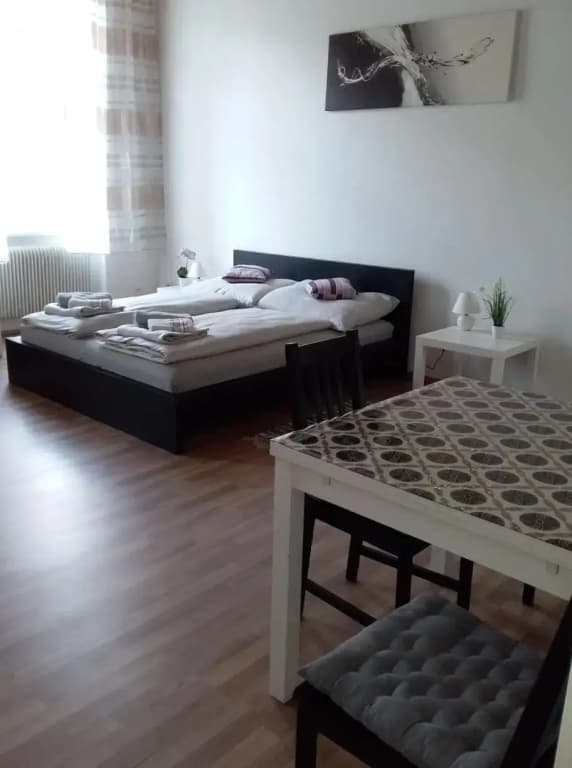 Apartment Alser - photo 10