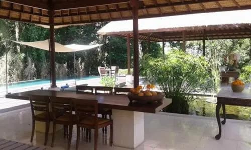 Villa Naga Ubud - photo 10