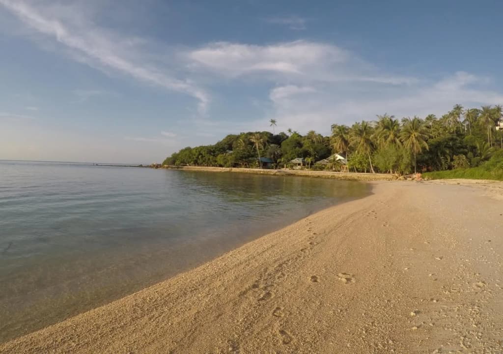 Dolphin Bay Beach Resort - photo 15
