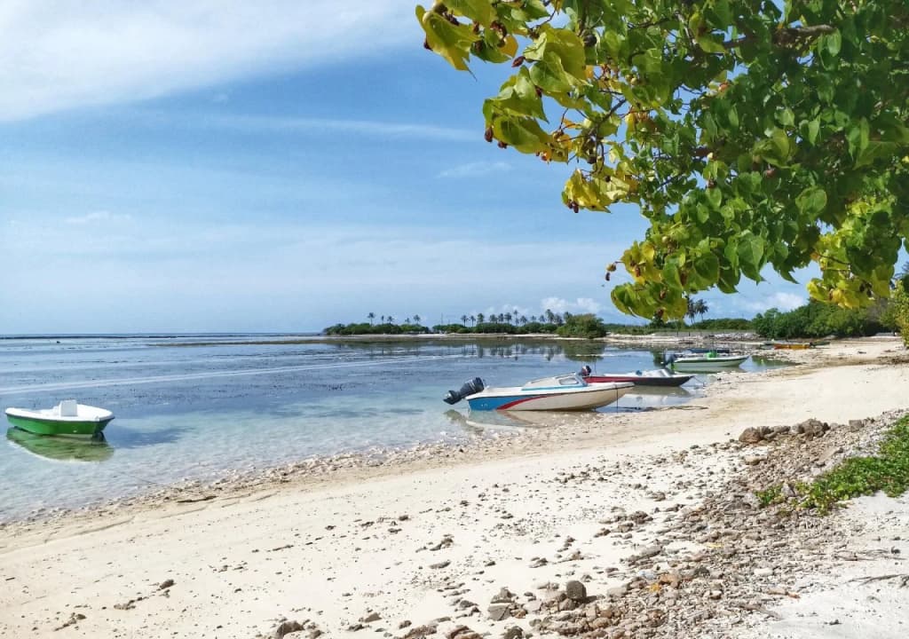 Medhufaru Inn - photo 5