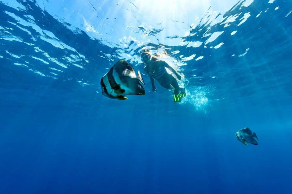 Sheraton Maldives Full Moon Resort & Spa - photo 48