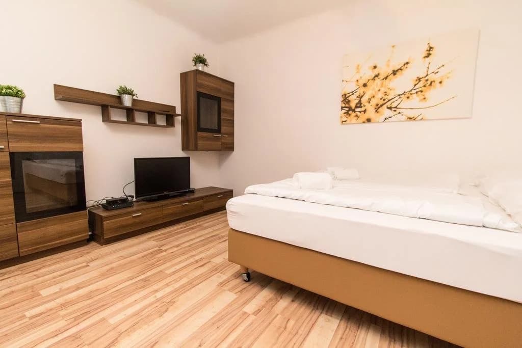 Belvedere Apartment - photo 7