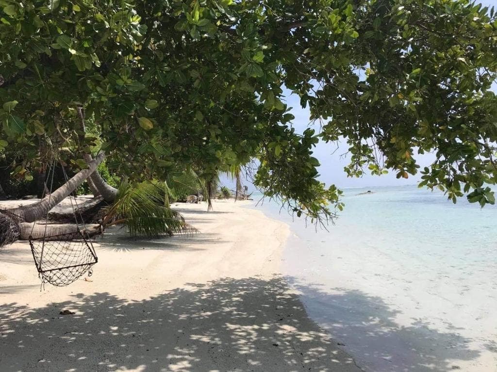 Veyvah Inn Maldives - photo 11