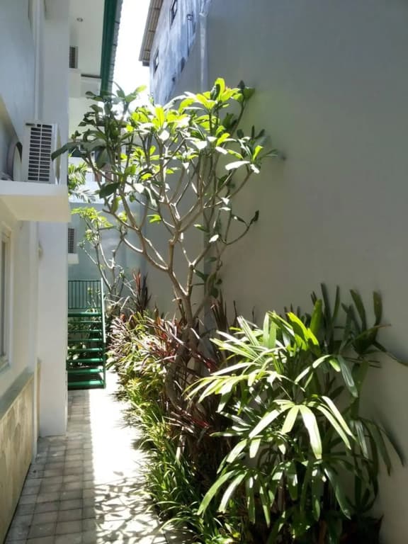Ara Inn Bed and Breakfast by ecommerceloka - photo 17
