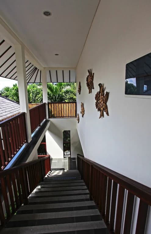Elite Cassia - photo 8
