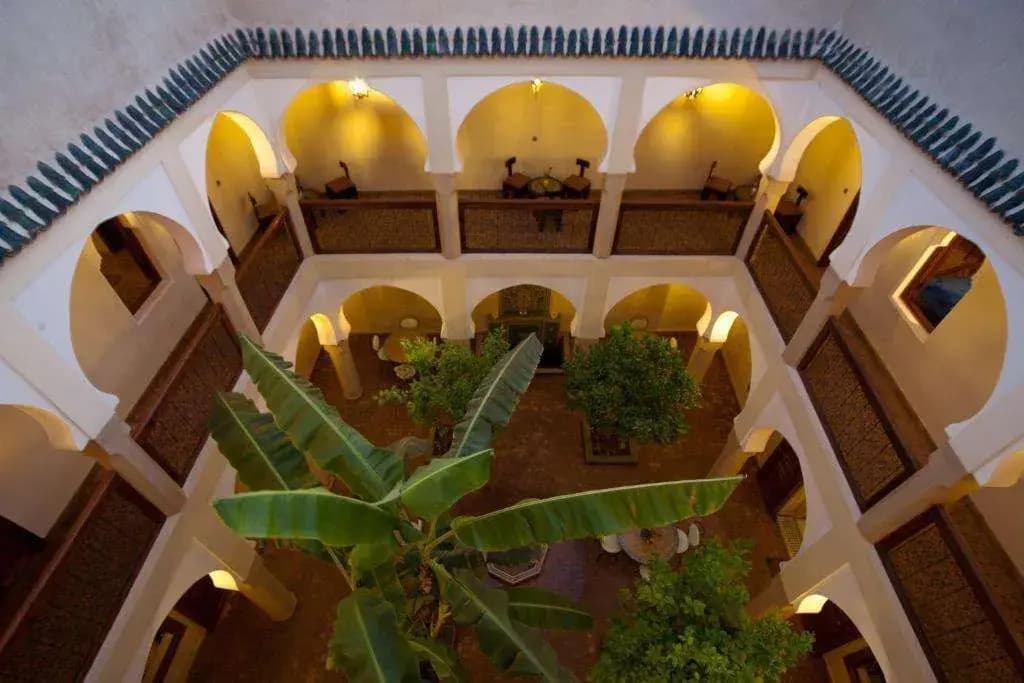 Riad Massaoud - photo 2
