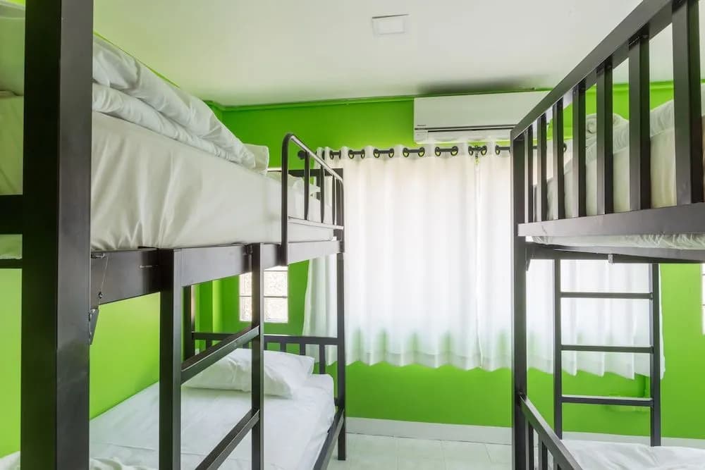 Why Not Hostel and Kitchen - photo 39
