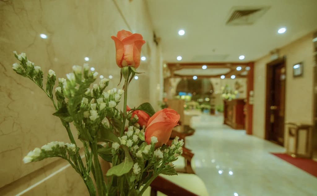 Orange Hotel - photo 16