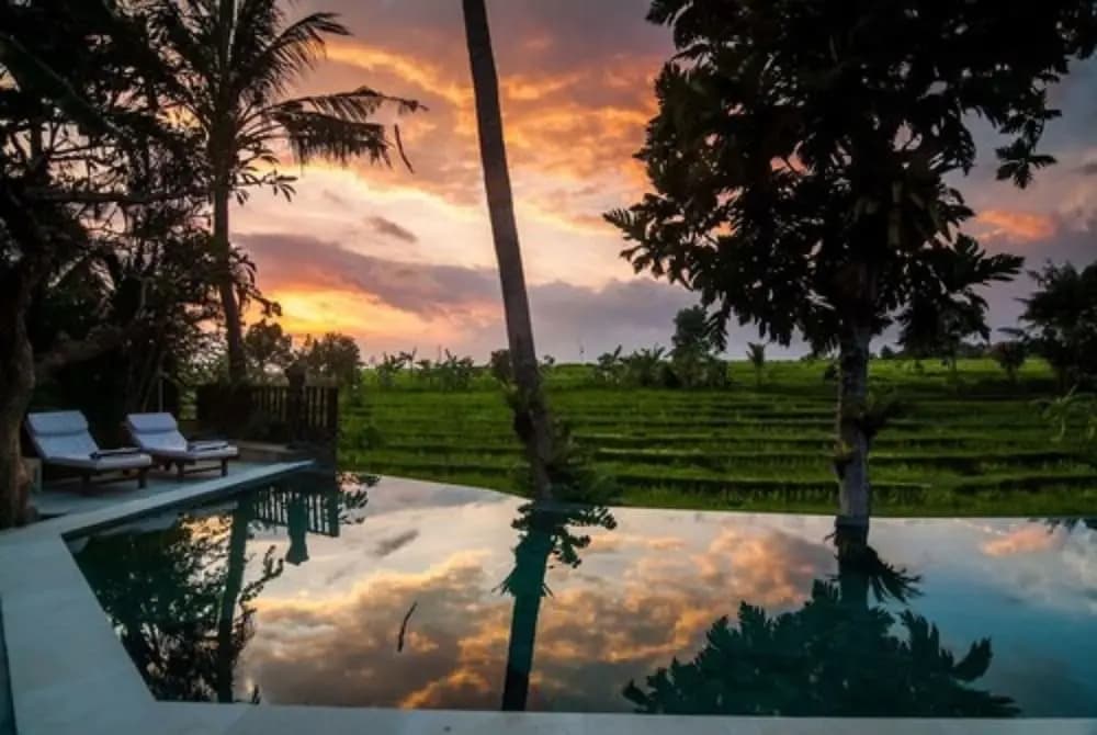 Lavillabali Rice Fields Terrace Canggu - photo 13