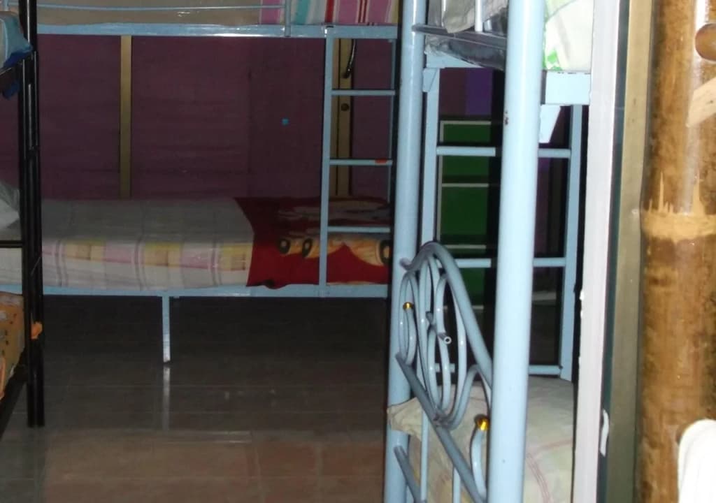 The Zoo Bar Hostel - photo 7