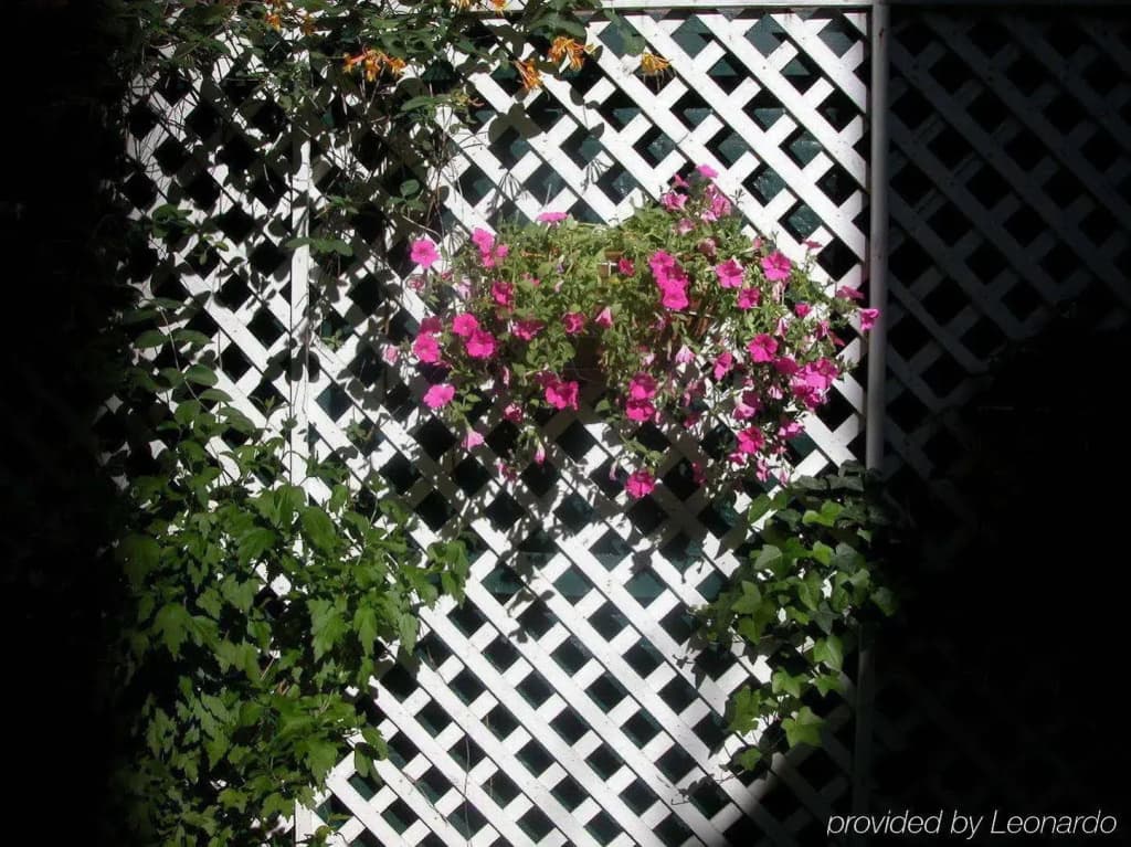 414 Hotel - photo 15