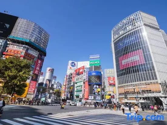 Popular Shinjuku area!Maximum 12 pplates!Detached house/WiFi available/MK535 - photo 4
