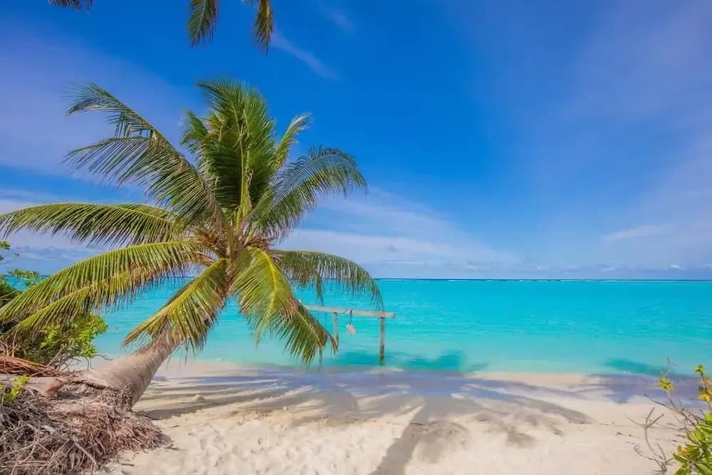Hi Heaven Maldives - photo 25