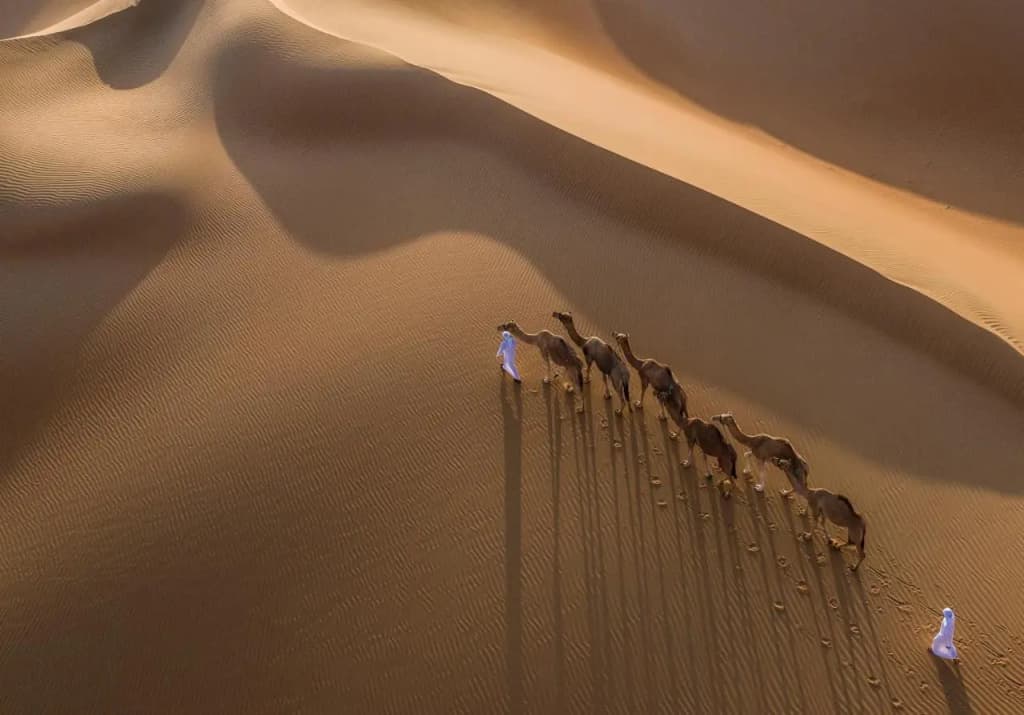 Qasr Al Sarab Desert Resort by Anantara - photo 36