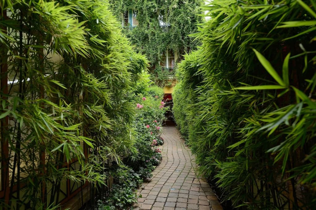Les Patios du Marais - photo 21