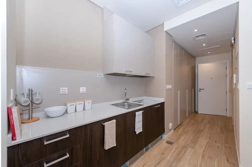 Park View Spacious Studio Dubai - photo 15