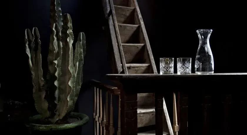 the Mayer Manor - photo 2