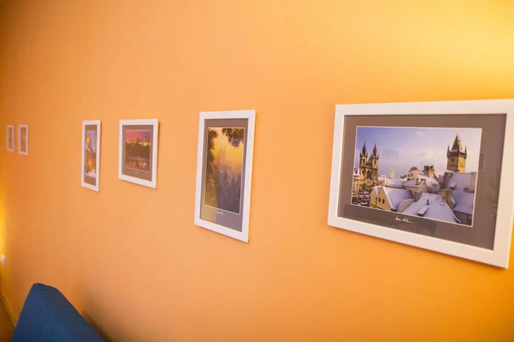 Lidicka Apartments - photo 12