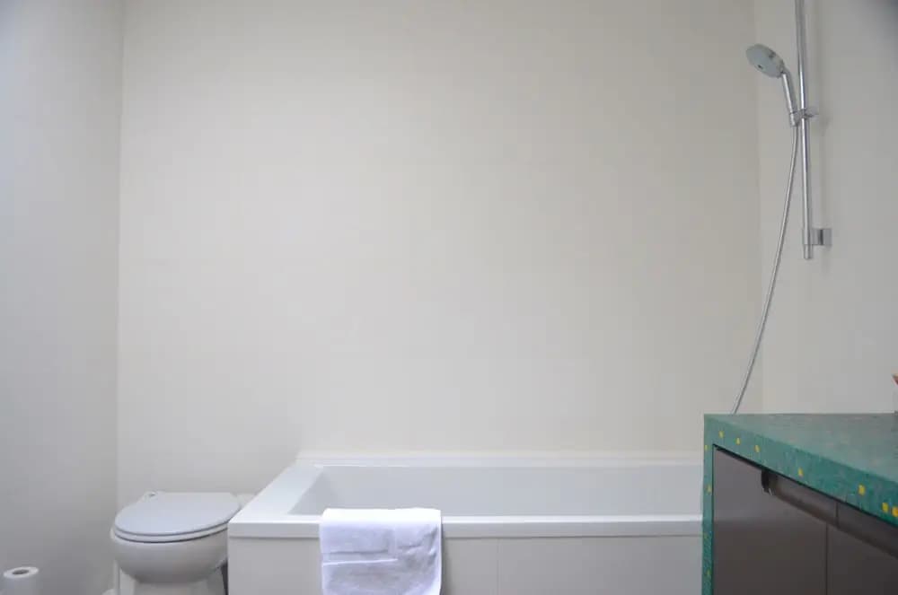 Top Floor Flat Near Bastille - photo 11