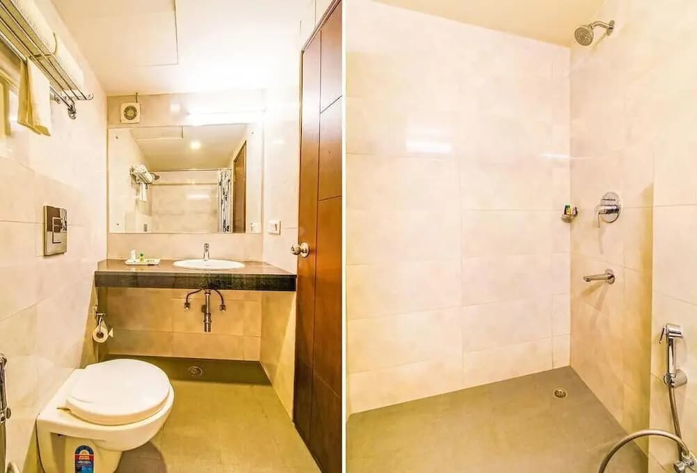 Airport Hotel Mahal - photo 8