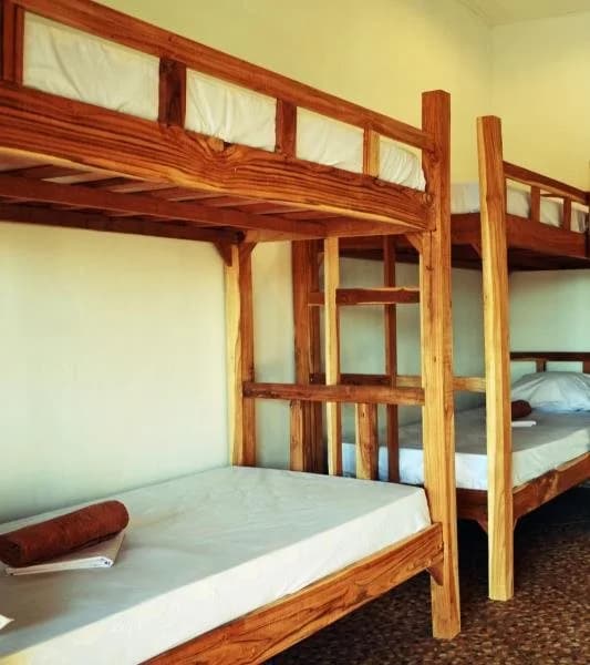 Lay Day Hostel Canggu - photo 4