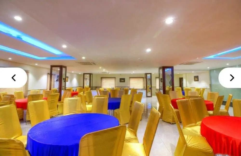 Airport Hotel Mahal - photo 18
