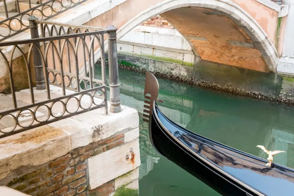 Venice in the house - photo 12
