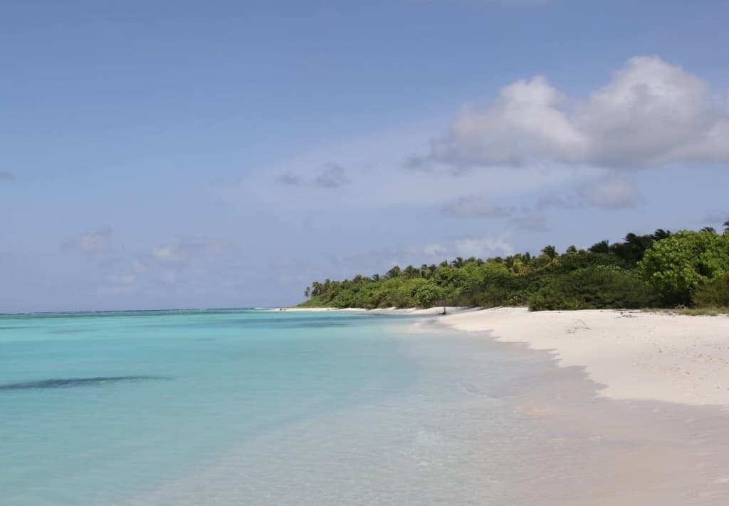 Plus View Maldives - photo 10