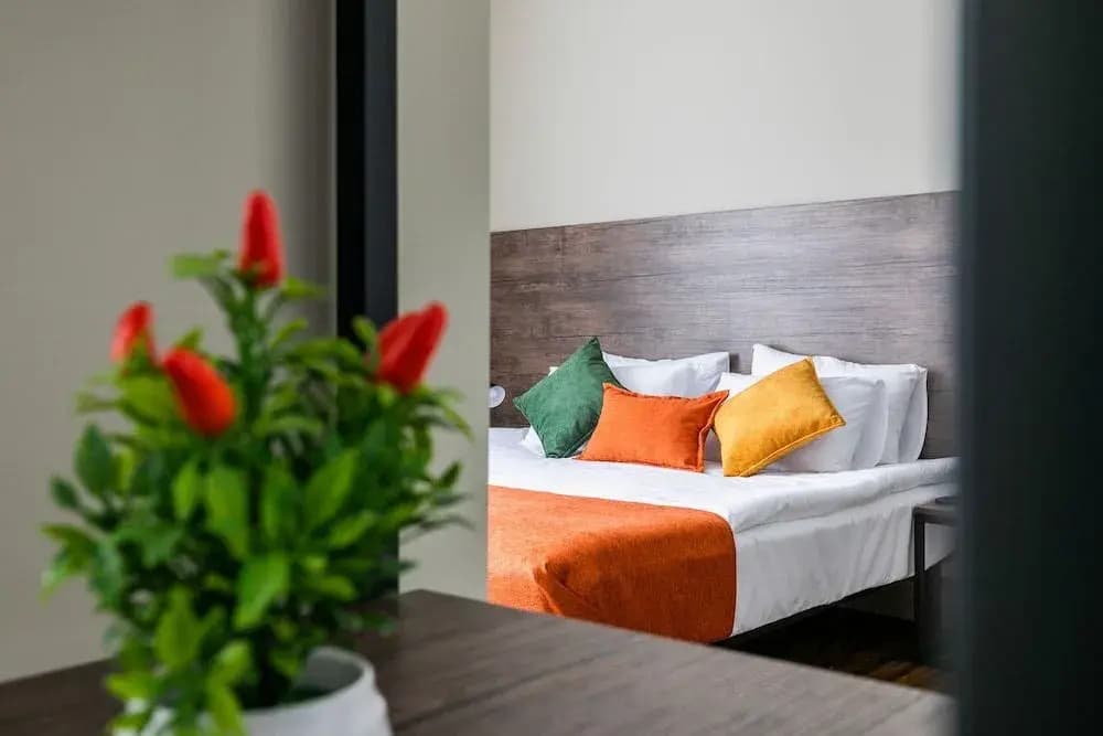 Boutique Hotel MOJO - photo 6