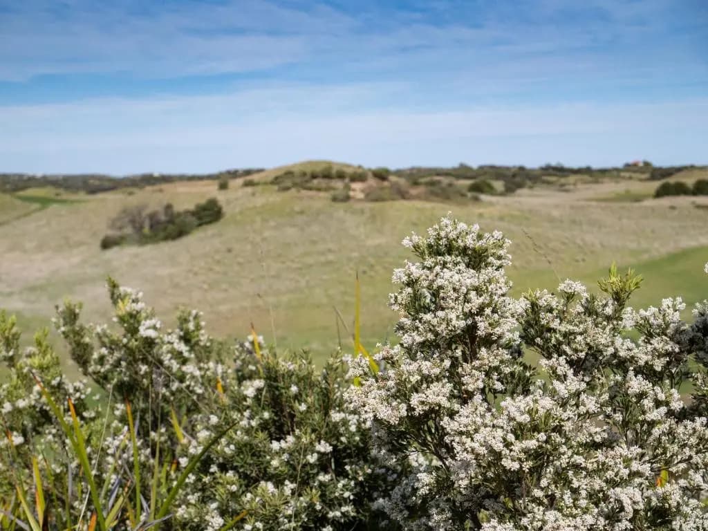 Links Lodge at The Dunes - photo 14