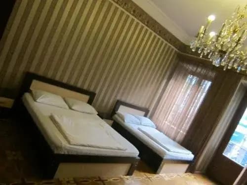 Guest House Sunshine - photo 7