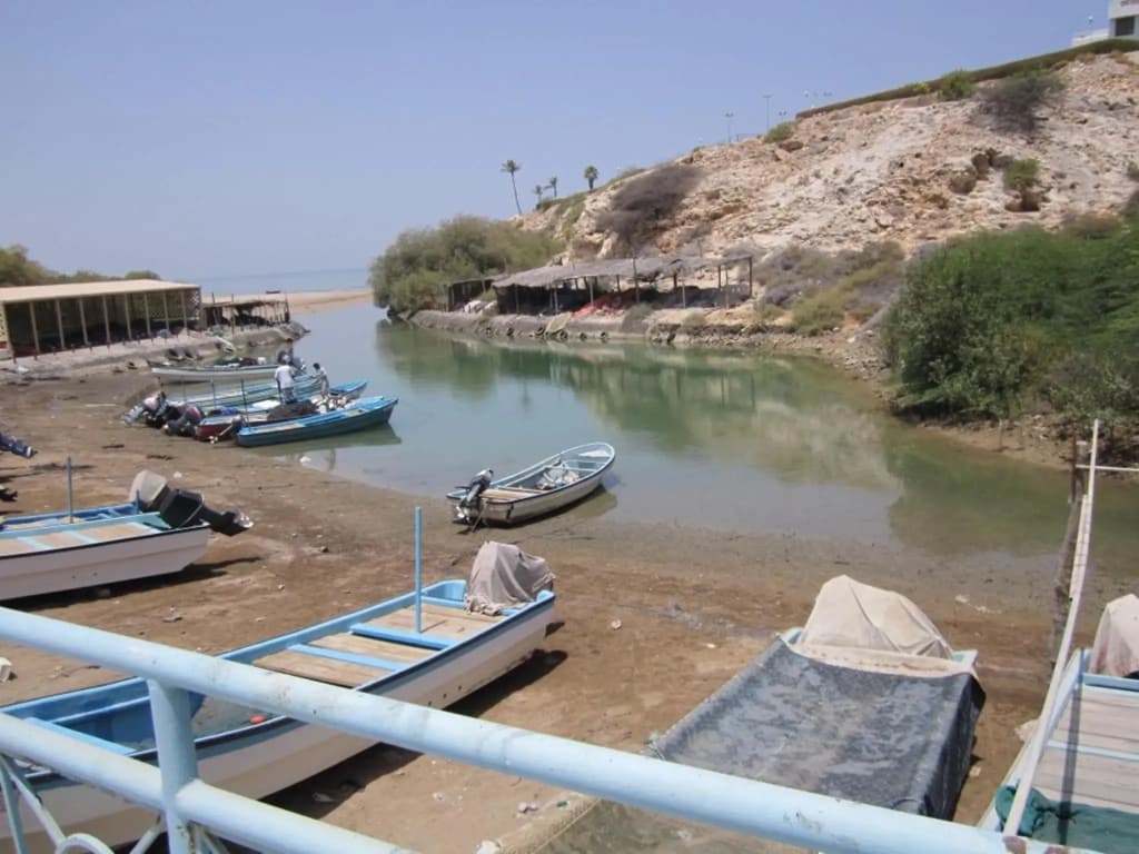 Qurum Beach Hotel - photo 11