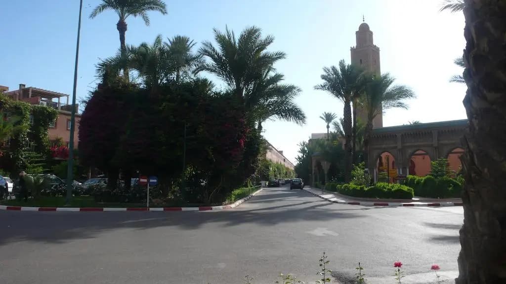 Dar Zahi - photo 14