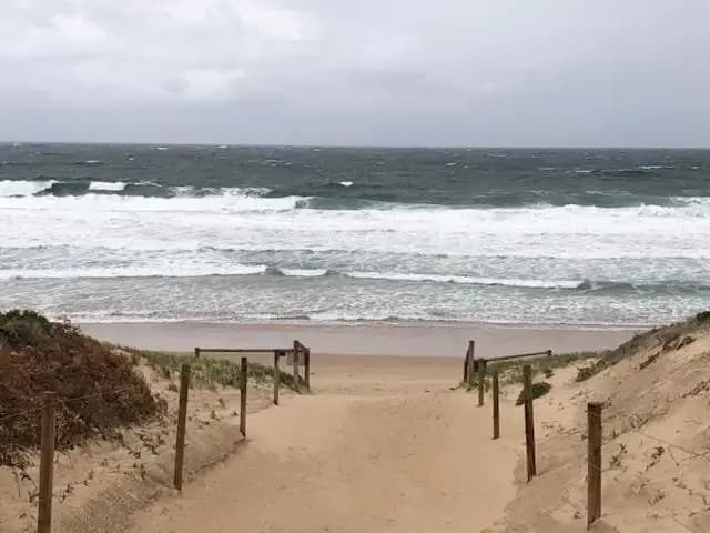 Beachfront Living Cronulla - photo 6