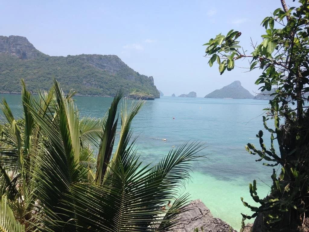 Orchid Lodge - photo 10