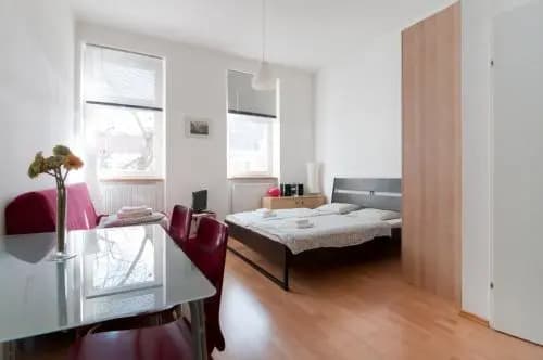 Premium Apartments Klimschgasse - photo 5