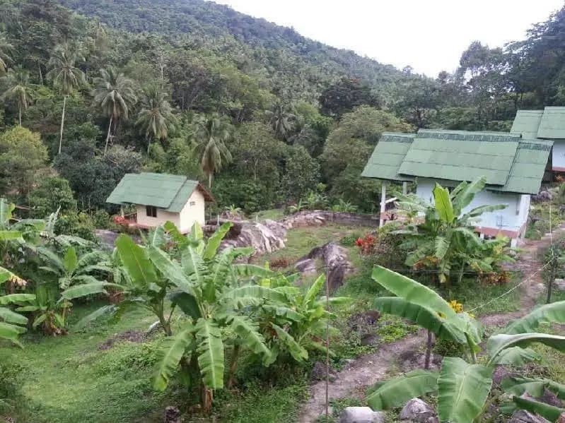 Buncha Sramanora Resort - photo 6