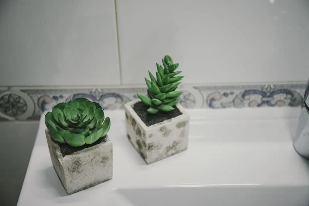 BBarcelona Poble Sec Apartment - photo 11