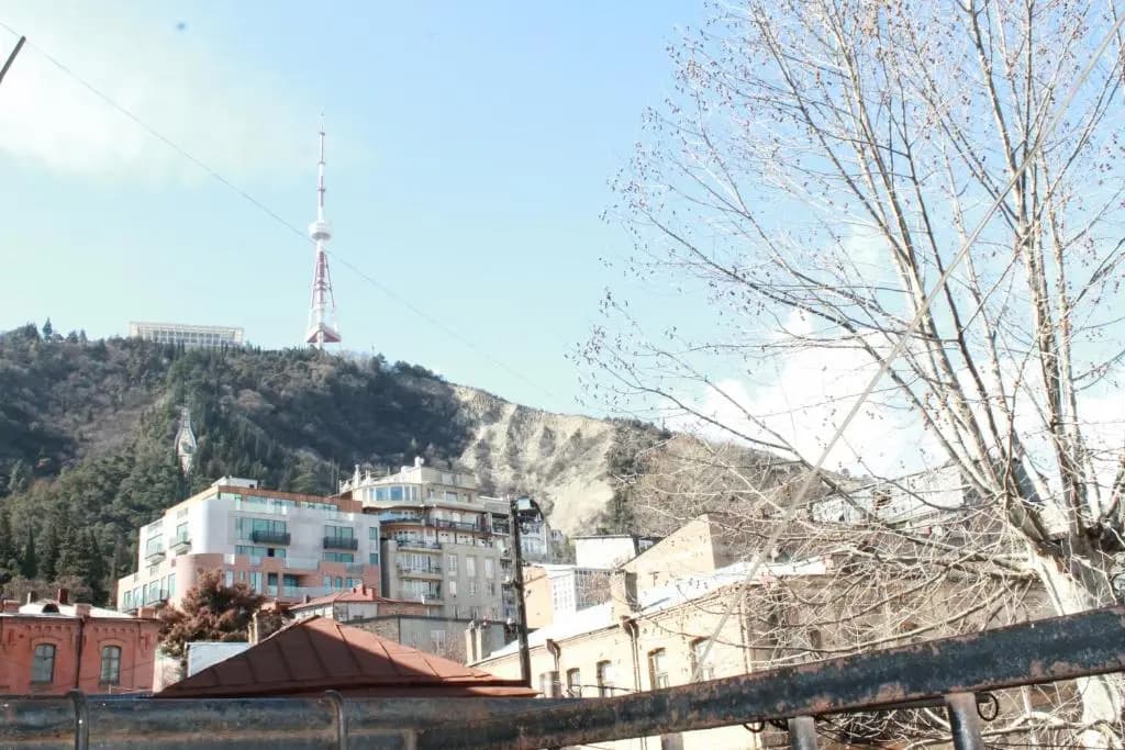 9 Shio Chitadze Street - photo 3