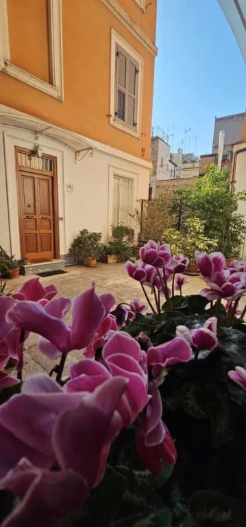 San Pietro Orange - photo 12