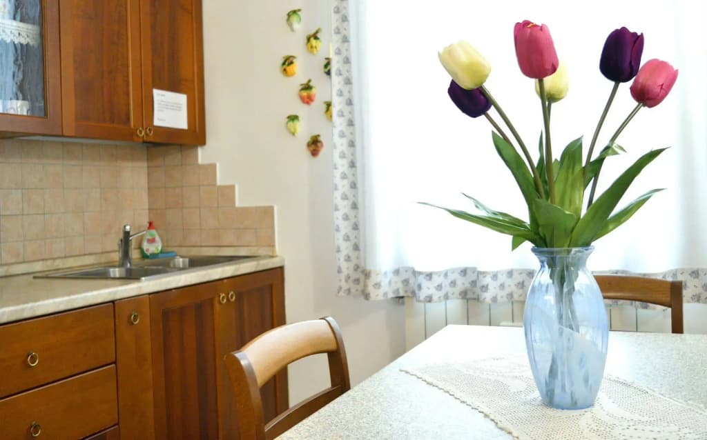 Casa Minestra - photo 16