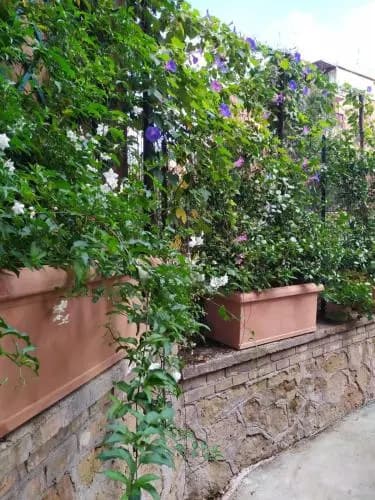Angolo Sul Giardino - photo 12