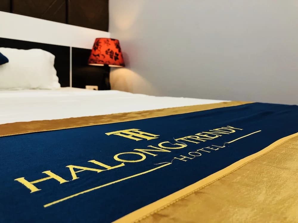Ha Long Trendy Hotel - photo 3