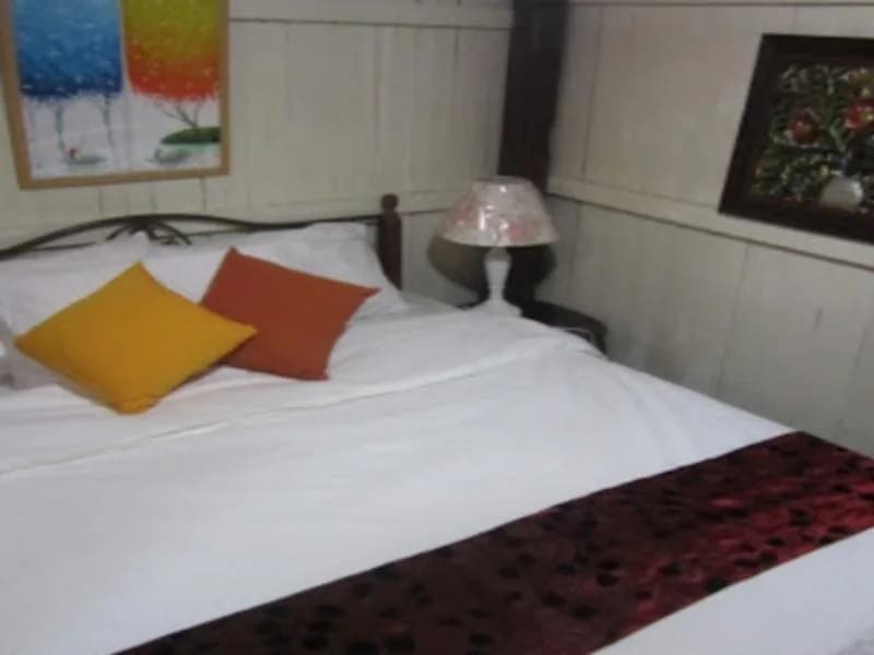 Trata Leka Hotel - photo 5