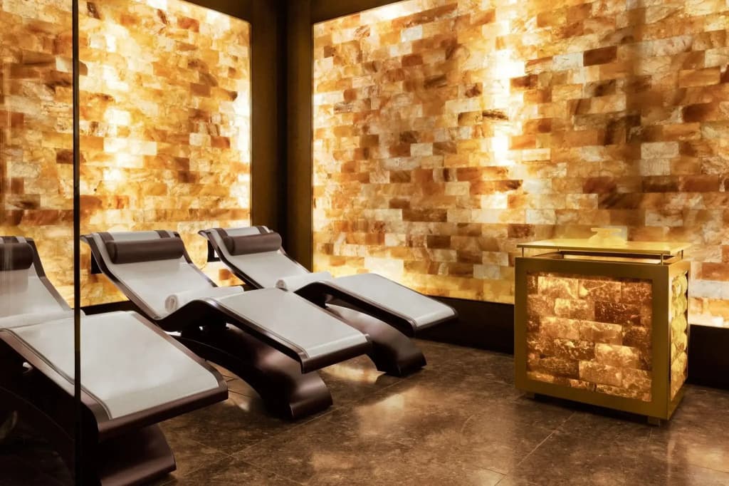 Excelsior Hotel Gallia, a Luxury Collection Hotel, Milan - photo 33