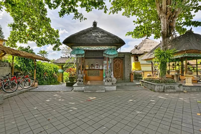 Alam Puri Villa - photo 2